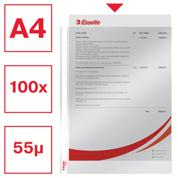 KOSZULKA ESSELTE A4 KRYSTALICZNE P.100 (3)