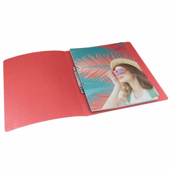 ESSELTE Colour’Breeze Segregator 2RR 25mm koralowy (2)